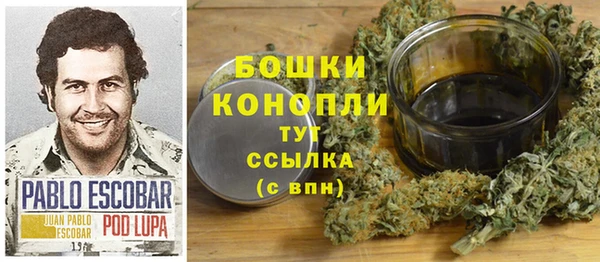 дмт Лагань