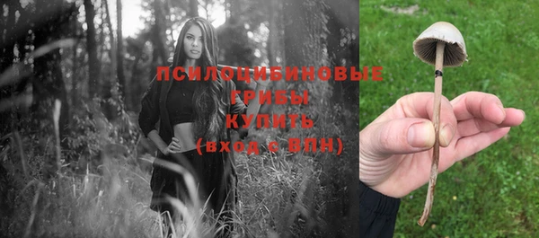 таблы Лабытнанги